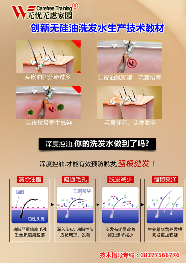 創(chuàng)新無硅油洗發(fā)水生產(chǎn)技術(shù)教材