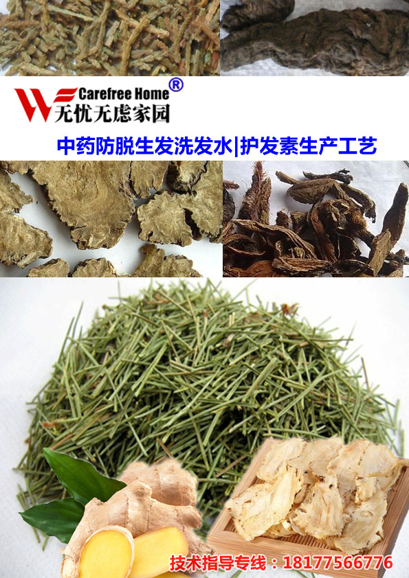 中藥防脫生發(fā)洗發(fā)水護發(fā)素的生產(chǎn)工藝教材