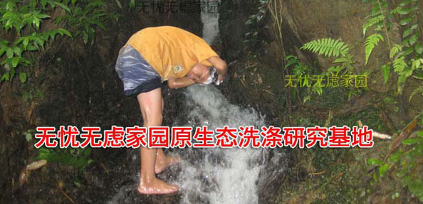 天然洗滌原料的采摘與應(yīng)用